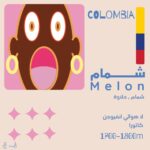 Olala Coffee Roastery | Colombia Melon – Coffee Beans | 125g
شمّام – كولومبيا - Image 2